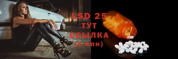PSILOCYBIN Балахна