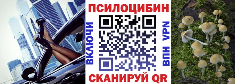 площадка формула  Поворино  Псилоцибиновые грибы ЛСД 